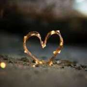 ヒメ日記 2026/01/19 14:52 投稿 藤沢なる コウテイ