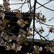 ヒメ日記 2026/04/12 09:15 投稿 藤沢なる コウテイ