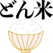 ヒメ日記 2026/08/11 08:56 投稿 藤沢なる コウテイ