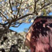 ヒメ日記 2025/03/14 21:49 投稿 ちほ 京都BOOK MARK（ブックマーク）