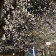 ヒメ日記 2025/04/02 18:24 投稿 ちほ 京都BOOK MARK（ブックマーク）