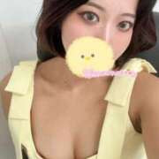 ヒメ日記 2025/08/17 12:48 投稿 ちほ 京都BOOK MARK（ブックマーク）