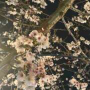 ヒメ日記 2026/03/30 23:18 投稿 ちほ 京都BOOK MARK（ブックマーク）