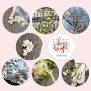 ヒメ日記 2025/04/02 09:21 投稿 ともか 熟女の風俗最終章 町田店