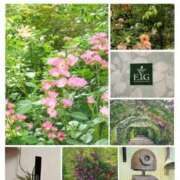 ヒメ日記 2025/05/23 09:20 投稿 ともか 熟女の風俗最終章 町田店