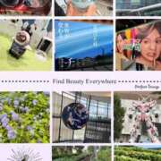 ヒメ日記 2025/06/03 09:31 投稿 ともか 熟女の風俗最終章 町田店