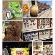 ヒメ日記 2025/08/30 09:10 投稿 ともか 熟女の風俗最終章 町田店