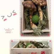 ヒメ日記 2025/10/11 09:20 投稿 ともか 熟女の風俗最終章 町田店