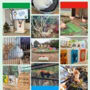 ヒメ日記 2025/12/26 09:20 投稿 ともか 熟女の風俗最終章 町田店