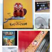ヒメ日記 2026/05/13 09:01 投稿 ともか 熟女の風俗最終章 町田店