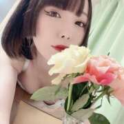 ヒメ日記 2025/03/13 13:01 投稿 水瀬 とわ Neo Elegance（ネオエレガンス）