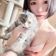 ヒメ日記 2025/03/23 17:24 投稿 水瀬 とわ Neo Elegance（ネオエレガンス）