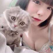 ヒメ日記 2025/11/04 14:10 投稿 水瀬 とわ Neo Elegance（ネオエレガンス）