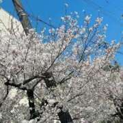 ヒメ日記 2026/04/03 14:38 投稿 松島　すず 未熟な人妻