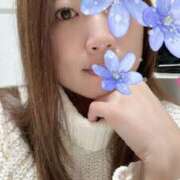 ヒメ日記 2025/02/13 09:04 投稿 白瀬奈美 ローテンブルク