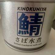 ヒメ日記 2025/02/22 10:35 投稿 白瀬奈美 ローテンブルク