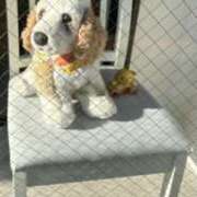 ヒメ日記 2025/02/27 17:01 投稿 白瀬奈美 ローテンブルク