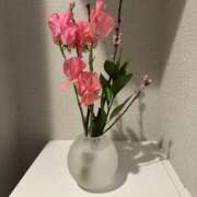 ヒメ日記 2025/03/03 07:57 投稿 白瀬奈美 ローテンブルク