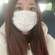 ヒメ日記 2025/03/11 12:19 投稿 白瀬奈美 ローテンブルク