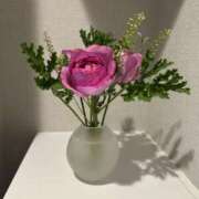 ヒメ日記 2025/03/12 23:11 投稿 白瀬奈美 ローテンブルク