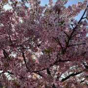 ヒメ日記 2025/03/22 18:15 投稿 白瀬奈美 ローテンブルク