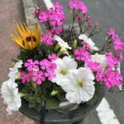 ヒメ日記 2025/03/27 17:25 投稿 白瀬奈美 ローテンブルク