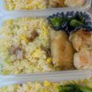 ヒメ日記 2025/03/29 13:24 投稿 白瀬奈美 ローテンブルク