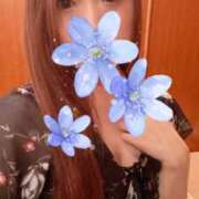 ヒメ日記 2025/04/08 21:15 投稿 白瀬奈美 ローテンブルク