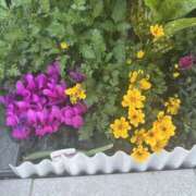 ヒメ日記 2025/04/22 23:49 投稿 白瀬奈美 ローテンブルク