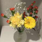 ヒメ日記 2025/04/26 16:01 投稿 白瀬奈美 ローテンブルク