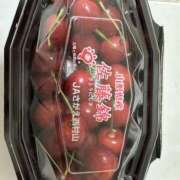 ヒメ日記 2025/04/28 11:53 投稿 白瀬奈美 ローテンブルク