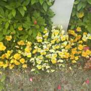 ヒメ日記 2025/05/04 15:51 投稿 白瀬奈美 ローテンブルク