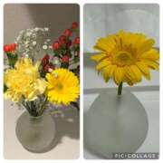 ヒメ日記 2025/05/09 16:26 投稿 白瀬奈美 ローテンブルク