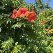 ヒメ日記 2025/06/22 15:38 投稿 白瀬奈美 ローテンブルク