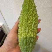 ヒメ日記 2025/08/04 08:30 投稿 白瀬奈美 ローテンブルク