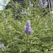 ヒメ日記 2025/09/04 18:21 投稿 白瀬奈美 ローテンブルク