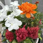 ヒメ日記 2025/09/19 11:19 投稿 白瀬奈美 ローテンブルク