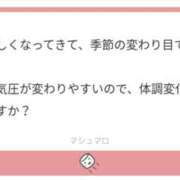 ヒメ日記 2025/10/08 15:56 投稿 白瀬奈美 ローテンブルク