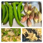 ヒメ日記 2025/10/09 19:33 投稿 白瀬奈美 ローテンブルク