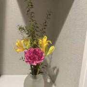 ヒメ日記 2025/10/17 10:55 投稿 白瀬奈美 ローテンブルク