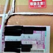 ヒメ日記 2025/11/04 14:06 投稿 白瀬奈美 ローテンブルク