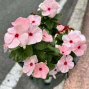 ヒメ日記 2025/11/06 07:51 投稿 白瀬奈美 ローテンブルク