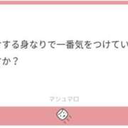 ヒメ日記 2025/11/10 10:34 投稿 白瀬奈美 ローテンブルク