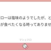ヒメ日記 2025/11/18 11:33 投稿 白瀬奈美 ローテンブルク