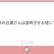 ヒメ日記 2025/11/21 06:24 投稿 白瀬奈美 ローテンブルク