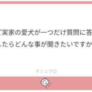ヒメ日記 2025/11/30 19:23 投稿 白瀬奈美 ローテンブルク