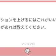 ヒメ日記 2025/12/05 09:52 投稿 白瀬奈美 ローテンブルク
