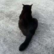 ヒメ日記 2026/01/12 08:58 投稿 白瀬奈美 ローテンブルク