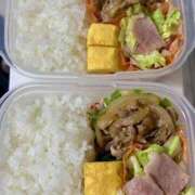 ヒメ日記 2026/01/13 15:00 投稿 白瀬奈美 ローテンブルク