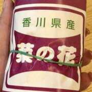 ヒメ日記 2026/01/18 22:10 投稿 白瀬奈美 ローテンブルク